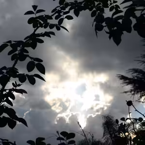 INESS do UCHA #13: Hrobové ticho