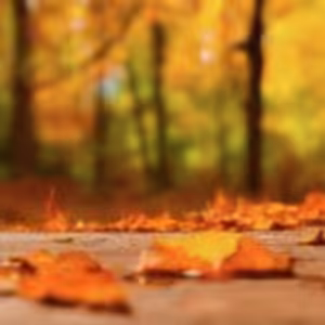 HOROSKOPY: Váhy, máte velkou šanci, že se stane skutečností to, co jste si již dávno přáli