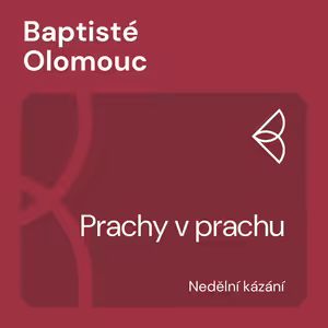 Prachy v prachu (26.2.2023)