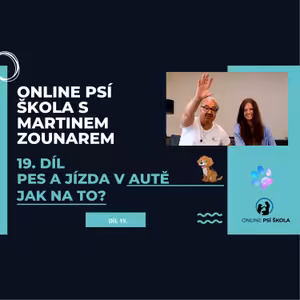 #19 Pes a jízda v autě