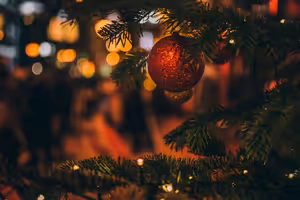 Lesní Stezkou #64 Vánoční zamyšlení