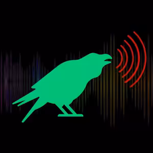 FPI: David Havran Spáčil I Altar Interactive, Fish Fillets, Original War, UFO Aftermath, Videoflot