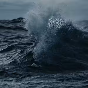 Podcast z knihovny GASK k výstavě Mysův Horn