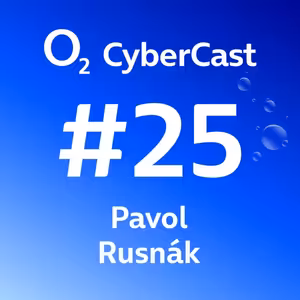 Předběhli jsme Google, máme vlastní open source čip