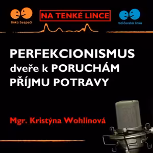 Perfekcionismus - dveře k poruchám příjmu potravy.