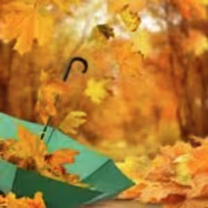 HOROSKOPY: Raci, je snazší něco kritizovat než něco tvořit. Zkuste své okolí méně kritizovat