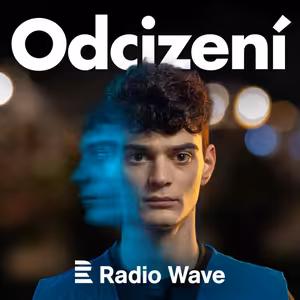 Odcizení