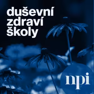Psychologická podpora pro ředitele 2 - díl IV - Záludnosti online komunikace