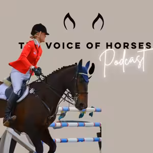 Jak Zlepšit Svůj Sed