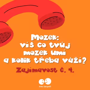 Mozek: víš co tvůj mozek umí a kolik třeba váží? Zajímavost č. 4.
