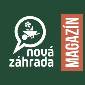 Japonské záhrady. Fero s Martinom navštívili krajinu vychádzajúceho slnka. (MNZ_026)