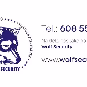 LEDVINOVÝ KULT: Proč má smysl volat detektiva