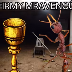 KUŘIMSKÁ SEKTA: Škrlovy firmy