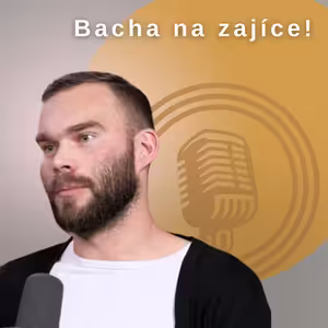 Bacha na zajíce, mohou vás poškodit! #BFcast