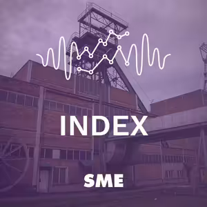 Reportáž z baní: Ako končí Ficom dotovaný biznis?