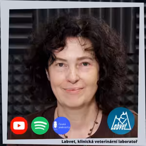 Hotspoty u psa - nejen letní nepříjemnost