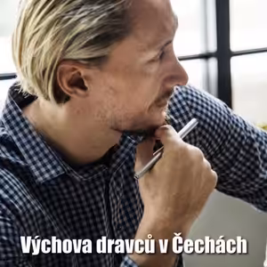 Blog 9 ... Výchova dravců v Čechách ... povídka s otevřeným koncem o psychické manipulaci v pracovním prostředí