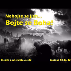 Mesiáš podle Matouše 32 - Nebojte se jich... bojte se Boha! - Bohuslav Wojnar (12.5.2013)