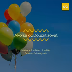 Ako sa oddôležitizovať - Branislav Schmogrovits