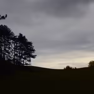 Projekt: Vianoce 27.11.2022