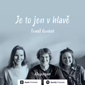 Tomáš Koubek - Je to jen v hlavě