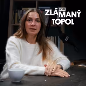 Topolánek: Prezident nepověří nikoho bez 101 podpisů. Konečná na 99 procent Babišovi hlasy nedá