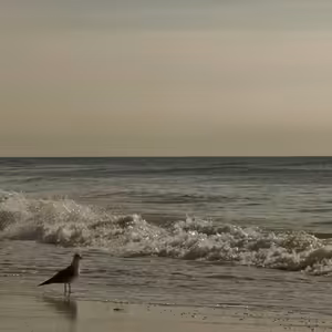 Kam v New Yorku za oceánem? Na Long Beach!