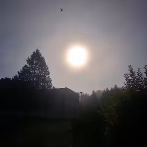 04:: Svěží ráno! Mlha. Slunce. Živo.