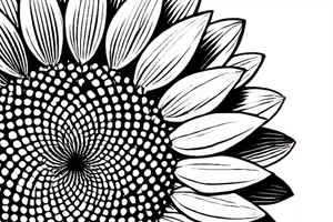 Fibonacci místo 4px-gridu: ŘSoW#65