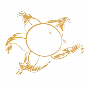 Podcast o čarodějnictví s Belladonnou