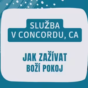 Concord trip a pokoj