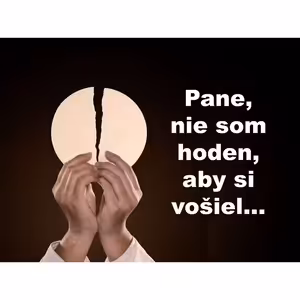 Pane, nie som hoden, aby si vošiel...