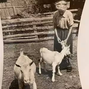 Hledání ztraceného Radia 1: Příběhy jinglů