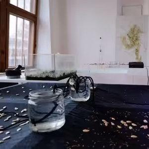 Galerie Entrance: Kořeny rostou dovnitř (Nikola Brabcová, Karin Šrubařová a další)