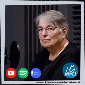 Vánoce - radost nebo starost