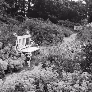 Pavel Pola: Květnice