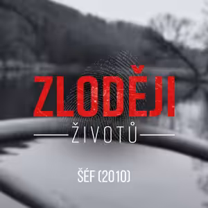 ŠÉF: Vrah s ocelově šedýma očima oběť rozřezal. Tělo vydávala Berounka po částech