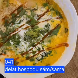 041 dělat hospodu sám/sama