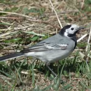BONUS - Sobota vo Veľkonočnej oktáve