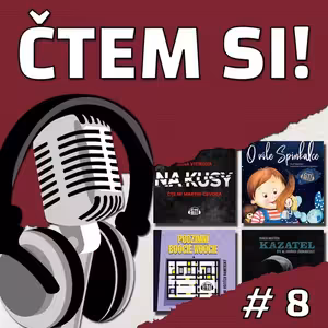 #8 Víla Na kusy káže boogie-woogie