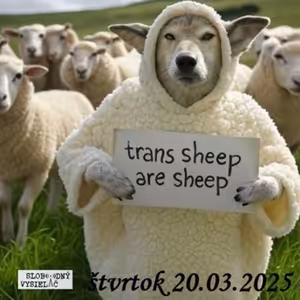 Spirituálny kapitál 558 - 2025-03-20 „4 esá. Biskup v bielom a čierny Peter“