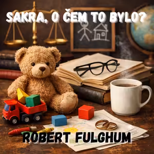 46. Robert Fulghum - Mateřská školka světa (Všechno, co opravdu potřebuju znát, jsem se naučil v mateřské školce)