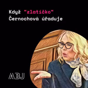 "Zlatíčko" Černochová chce pro armádní cvičení lesy, parky, ozdravovny. K nákupům pro armádu hraje rock