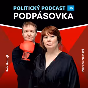 Neuvěřitelné překrucování reality a urážky prezidenta. Máme detaily vládního podání k Ústavnímu soudu