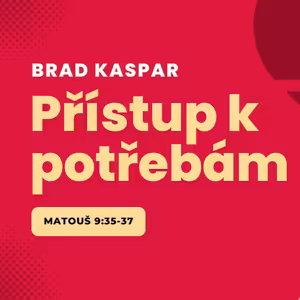 Přístup k potřebám