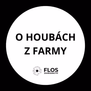 O houbách z farmy