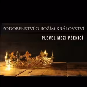 Podobenství o Božím království | PLEVEL MEZI PŠENICÍ