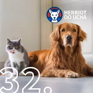 #32 Vše o kardiologii psů a koček - MVDr. Andrea Koktová Štusáková