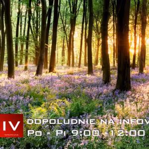 Dopoludnie na Infovojne s Adrianom 21.5.2024