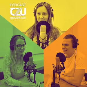 |40| Malta v malíčku